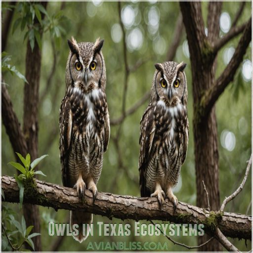 Owls in Texas Ecosystems