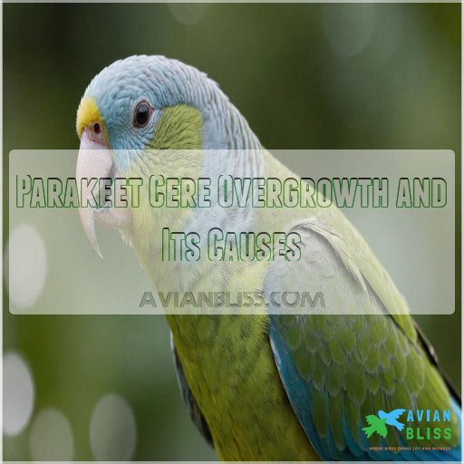 Parakeet Cere Overgrowth and Its Causes