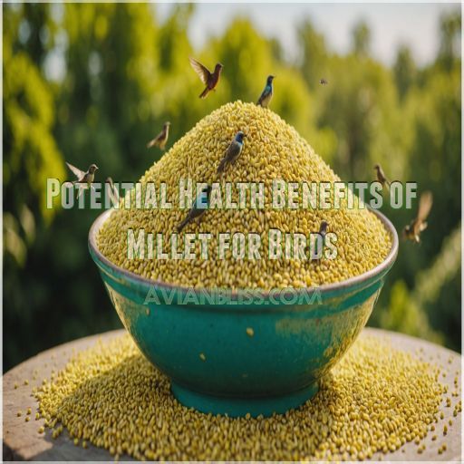 Potential Health Benefits of Millet for Birds