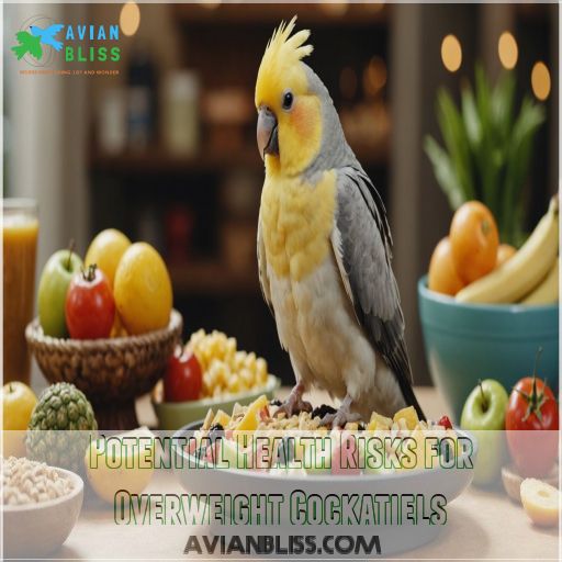 Potential Health Risks for Overweight Cockatiels