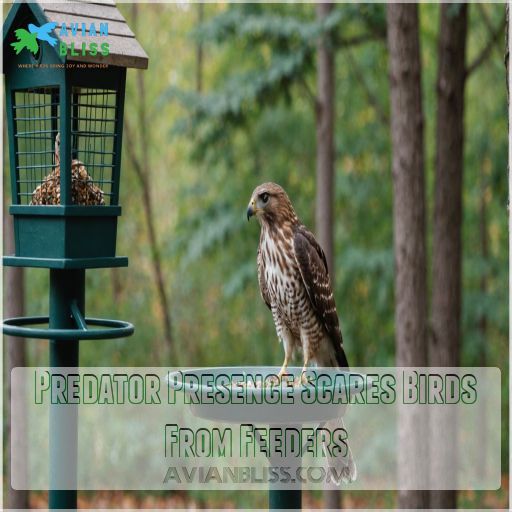 Predator Presence Scares Birds From Feeders