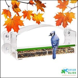 Premium Window Bird Feeder with