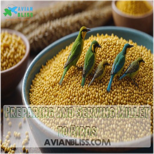 Preparing and Serving Millet to Birds