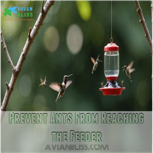 Prevent Ants From Reaching The Feeder