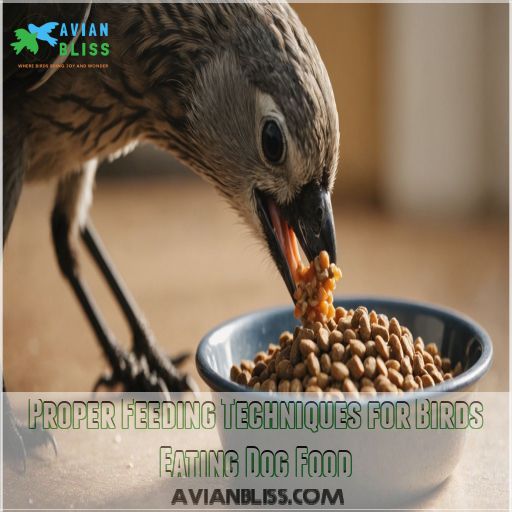 Proper Feeding Techniques for Birds Eating Dog Food