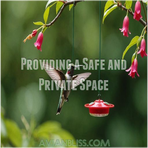 Providing a Safe and Private Space