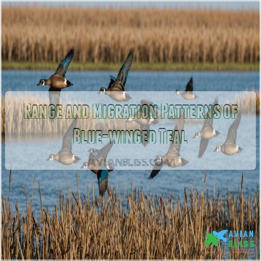 Range and Migration Patterns of Blue-winged Teal