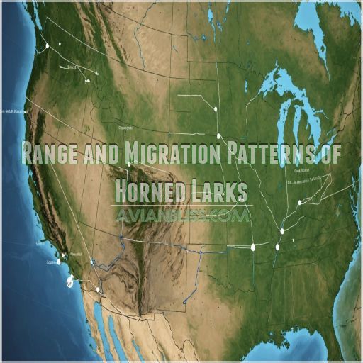 Range and Migration Patterns of Horned Larks