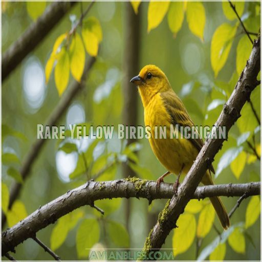 Rare Yellow Birds in Michigan