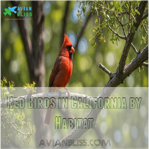 Red Birds in California by Habitat