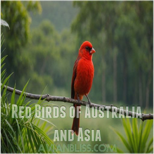 Red Birds of Australia and Asia