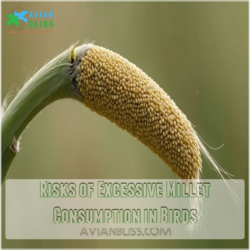 Risks of Excessive Millet Consumption in Birds