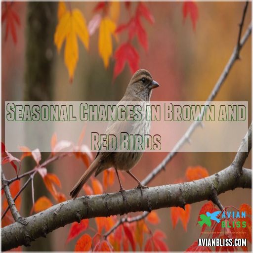 Seasonal Changes in Brown and Red Birds