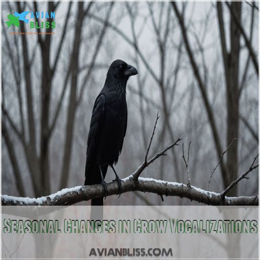 Seasonal Changes in Crow Vocalizations