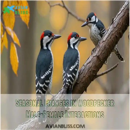 Seasonal Changes in Woodpecker Male-Female Interactions