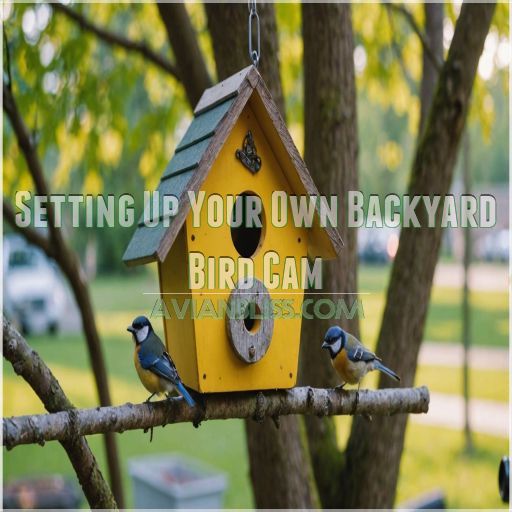 Setting Up Your Own Backyard Bird Cam