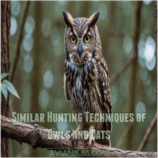 Similar Hunting Techniques of Owls and Cats