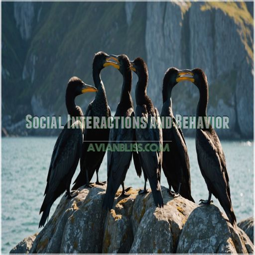 Social Interactions and Behavior