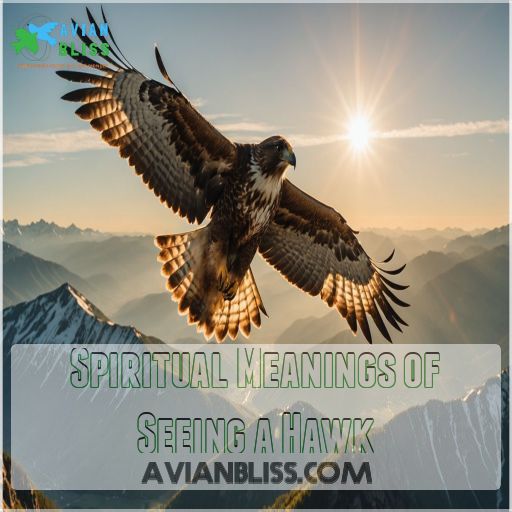 Spiritual Meanings of Seeing a Hawk