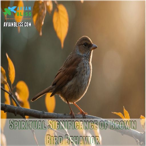 Spiritual Significance of Brown Bird Behavior