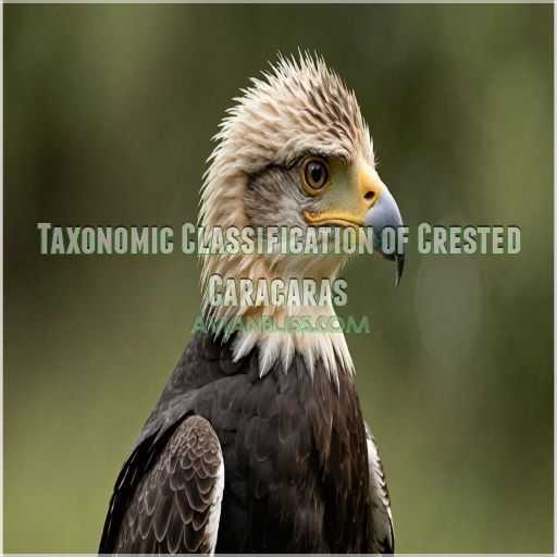 Taxonomic Classification of Crested Caracaras