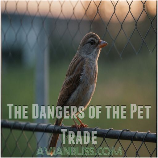 The Dangers of the Pet Trade