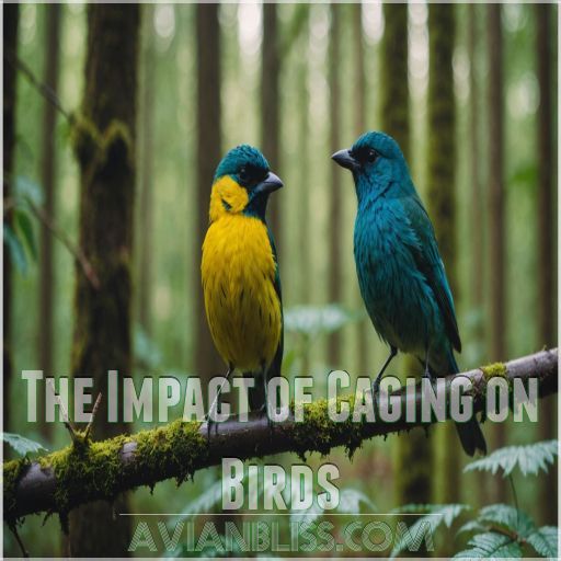 The Impact of Caging on Birds