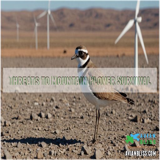 Threats to Mountain Plover Survival