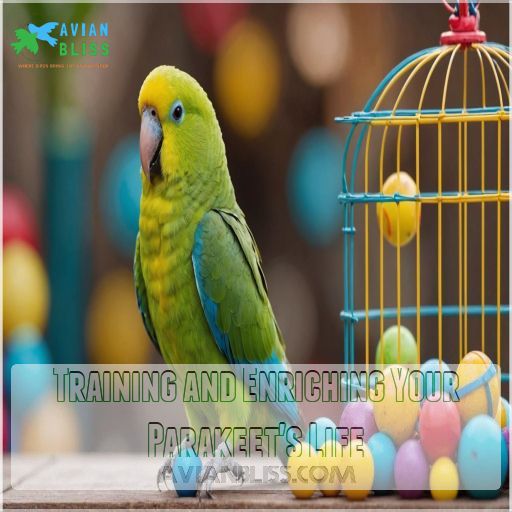 Training and Enriching Your Parakeet