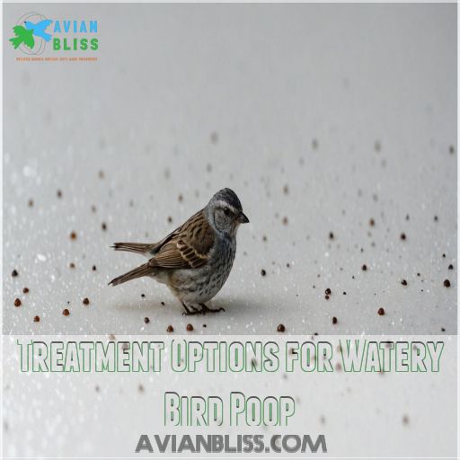 Treatment Options for Watery Bird Poop