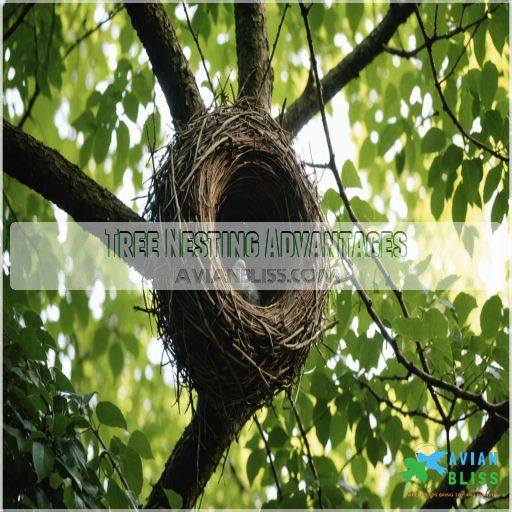 Tree Nesting Advantages