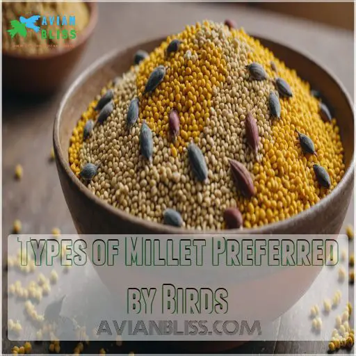 Types of Millet Preferred by Birds