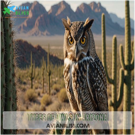 Types of Owls in Arizona