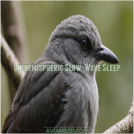 Unihemispheric Slow-Wave Sleep