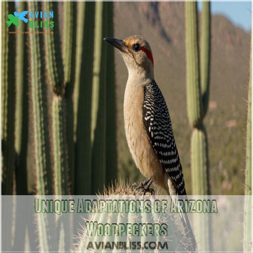 Unique Adaptations of Arizona Woodpeckers