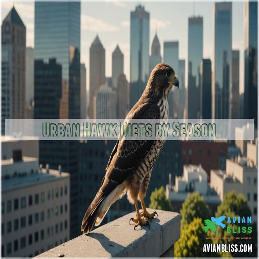 Urban Hawk Diets by Season