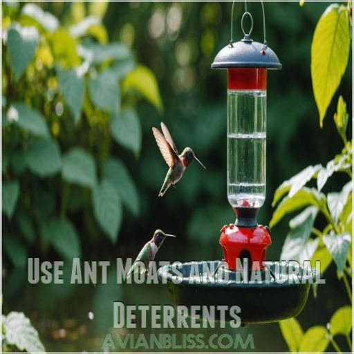 Use Ant Moats and Natural Deterrents