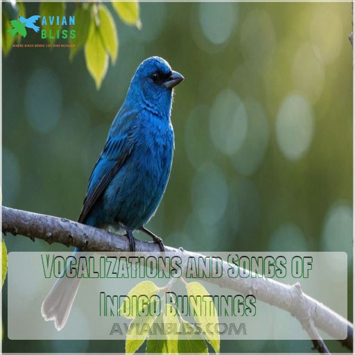 Vocalizations and Songs of Indigo Buntings