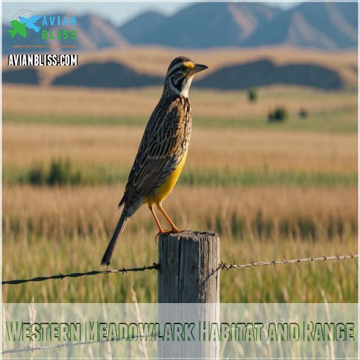 Western Meadowlark Habitat and Range