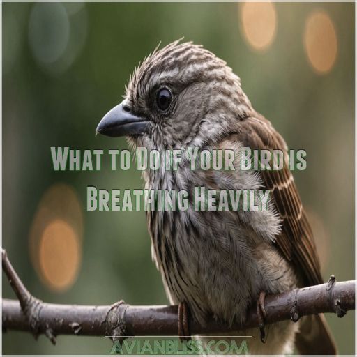 What to Do if Your Bird is Breathing Heavily