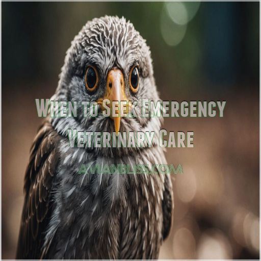 When to Seek Emergency Veterinary Care