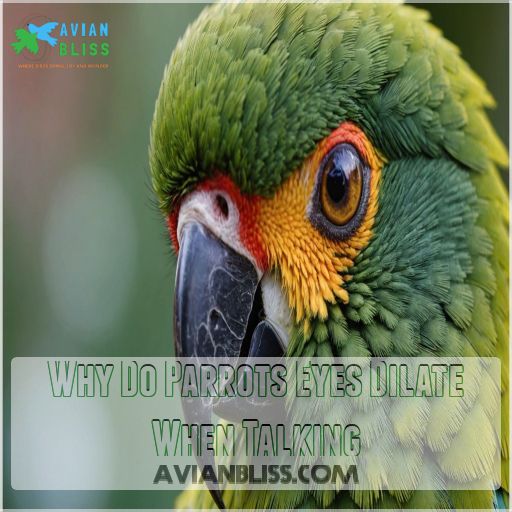 Why Do Parrots Eyes Dilate When Talking