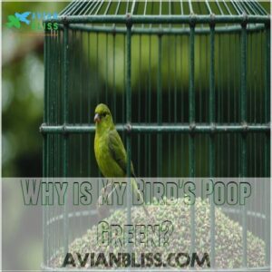 Why is My Bird's Poop Green