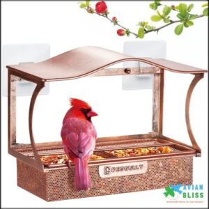 Window Bird Feeder, Desgully Metal