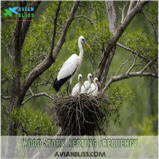 Wood Stork Nesting Frequency