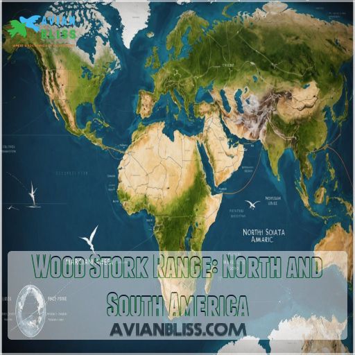 Wood Stork Range: North and South America