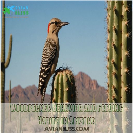 Woodpecker Behavior and Feeding Habits in Arizona