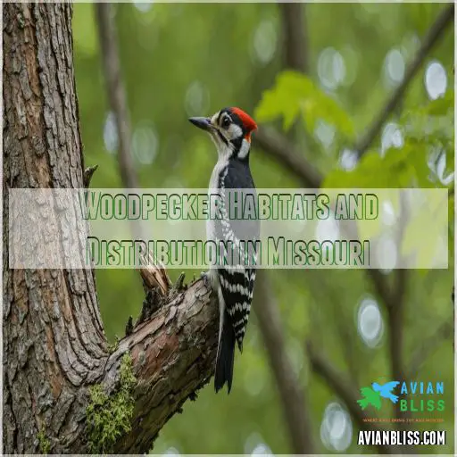 Woodpecker Habitats and Distribution in Missouri