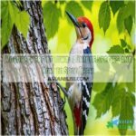 woodpeckers of iowa