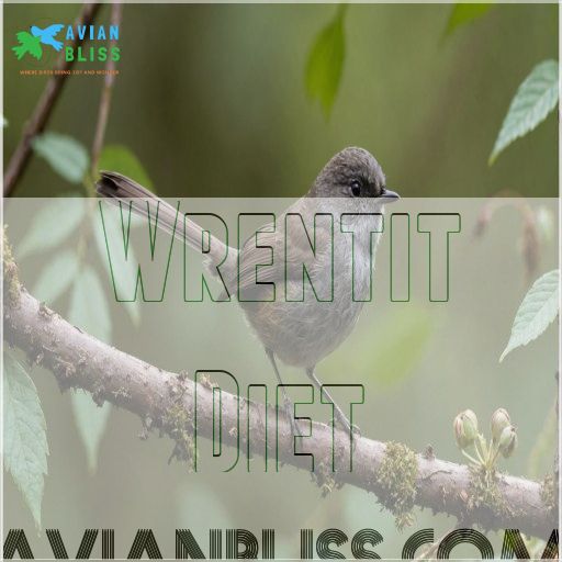 Wrentit Diet